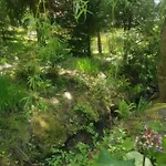Villa Jaworowy Stok Z Widokiem Na Gory I Ogrodem *
