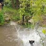 Villa Jaworowy Stok Z Widokiem Na Gory I Ogrodem *
