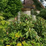 Jaworowy Stok Z Widokiem Na Gory I Ogrodem Jugów