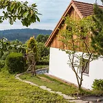 Вилла Jaworowy Stok Z Widokiem Na Gory I Ogrodem