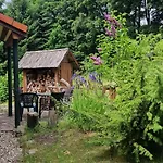 Jaworowy Stok Z Widokiem Na Gory I Ogrodem