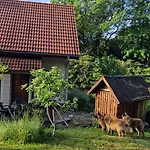 Villa Jaworowy Stok Z Widokiem Na Gory I Ogrodem *