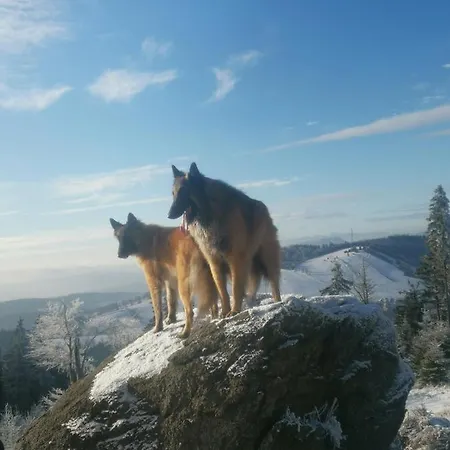 Villa Jaworowy Stok Z Widokiem Na Gory I Ogrodem Jugów