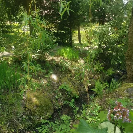 Villa Jaworowy Stok Z Widokiem Na Gory I Ogrodem *