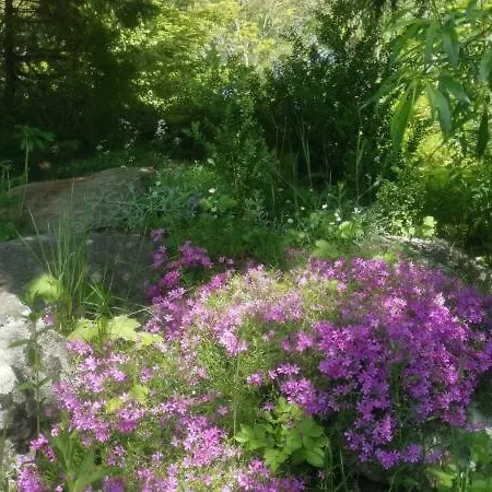 Jaworowy Stok Z Widokiem Na Gory I Ogrodem Jugów