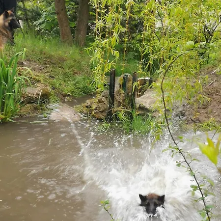 Villa Jaworowy Stok Z Widokiem Na Gory I Ogrodem *
