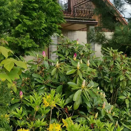 Jaworowy Stok Z Widokiem Na Gory I Ogrodem Jugów