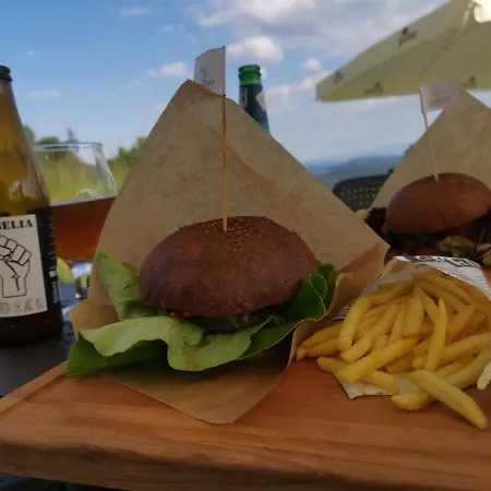 Jaworowy Stok Z Widokiem Na Gory I Ogrodem * Jugów