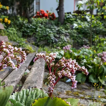 Jaworowy Stok Z Widokiem Na Gory I Ogrodem Villa Jugów