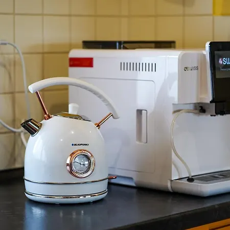 Villa Jaworowy Stok Z Widokiem Na Gory I Ogrodem *