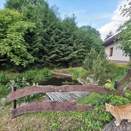 Villa Jaworowy Stok Z Widokiem Na Gory I Ogrodem Jugów