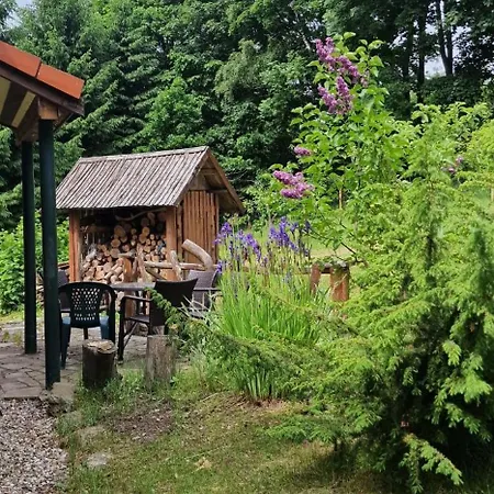 Jaworowy Stok Z Widokiem Na Góry I Ogrodem