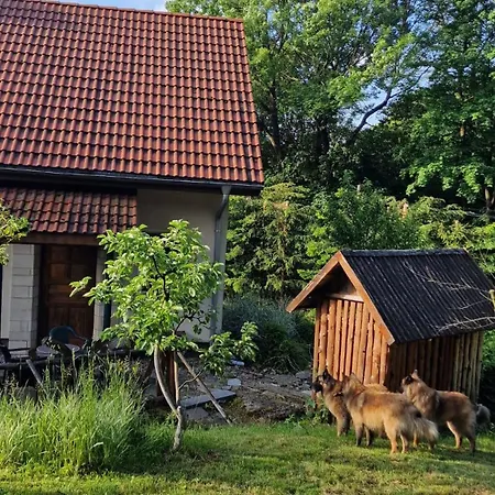 Villa Jaworowy Stok Z Widokiem Na Góry I Ogrodem *