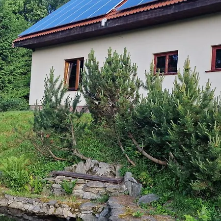 Villa Jaworowy Stok Z Widokiem Na Gory I Ogrodem