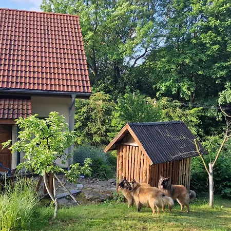 Jaworowy Stok Z Widokiem Na Gory I Ogrodem