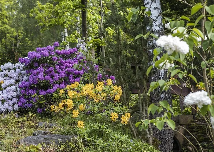 Jaworowy Stok Z Widokiem Na Gory I Ogrodem *