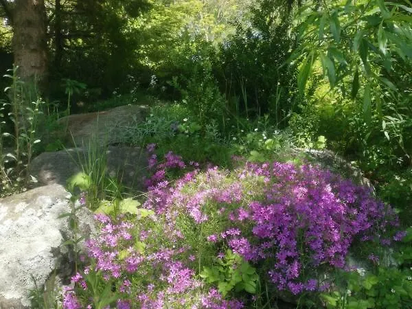 Jaworowy Stok Z Widokiem Na Gory I Ogrodem Jugów