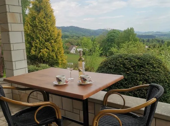 Villa Jaworowy Stok Z Widokiem Na Gory I Ogrodem