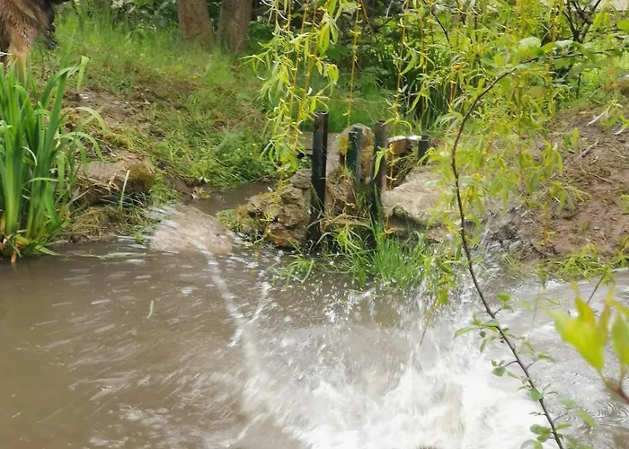 Villa Jaworowy Stok Z Widokiem Na Gory I Ogrodem *