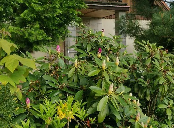 Jaworowy Stok Z Widokiem Na Gory I Ogrodem Jugów