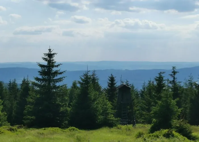 Jaworowy Stok Z Widokiem Na Gory I Ogrodem Villa Jugów