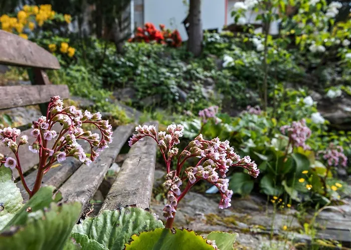 Jaworowy Stok Z Widokiem Na Gory I Ogrodem Villa Jugów