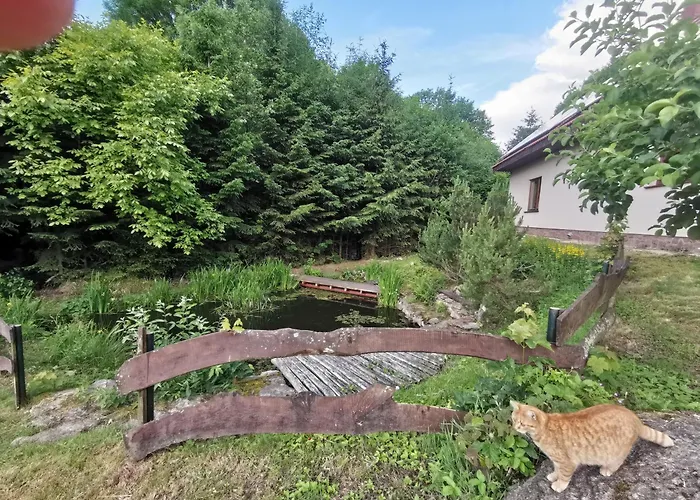 Jaworowy Stok Z Widokiem Na Gory I Ogrodem Villa