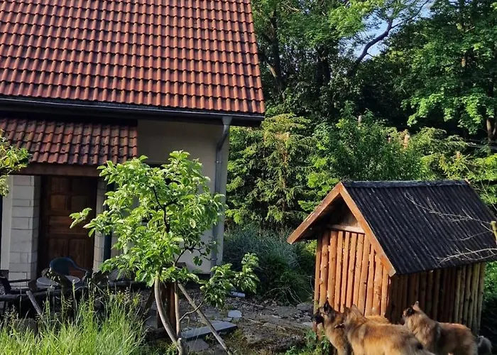 Villa Jaworowy Stok Z Widokiem Na Gory I Ogrodem *