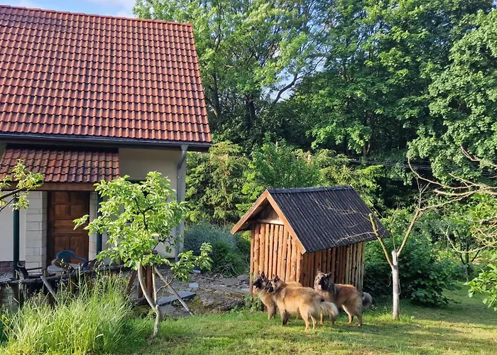 Jaworowy Stok Z Widokiem Na Gory I Ogrodem